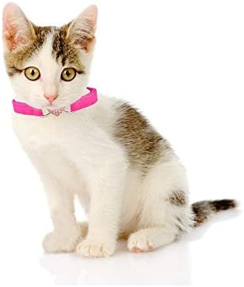 CHUKCHI Heart Bling Cat Collar with Safety Belt and Bell 8-11 Inches