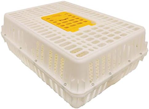 Stromberg's Poultry Transport Crate, Secure Chicken Carrier for Safe Bird Travel and Storage, Ventilated Outdoor Plastic Cage with Hinged Loading Door for 4 to 6 Backyard Chickens or 2-4 Pheasants