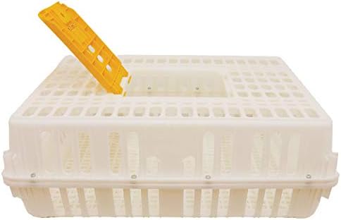 Stromberg's Poultry Transport Crate, Secure Chicken Carrier for Safe Bird Travel and Storage, Ventilated Outdoor Plastic Cage with Hinged Loading Door for 4 to 6 Backyard Chickens or 2-4 Pheasants