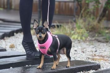 Puppia Soft Dog Harness No Choke Over-The-Head Triple Layered Breathable Mesh Adjustable Chest Belt and Quick-Release Buckle, Pink, X-Large
