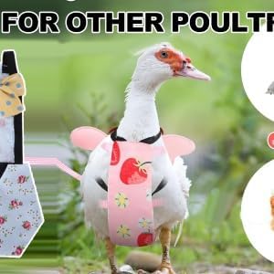 Pet Chicken Duck Diapers, Washable Reusable and Adjustable Nappy Poultry Cloth for Goose Duck Hen Chicken Health Supplies(L Blue Flower