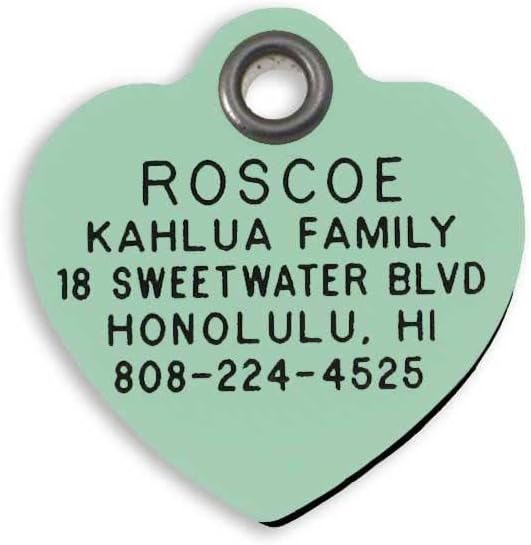 LuckyPet Plastic Pet ID Tags - Dog Personalized IDs - Durable Engraved Name Noiseless Tag - Suitable for Dogs and Cats - Outlasts Most Aluminum Tags - Large, Mint Heart