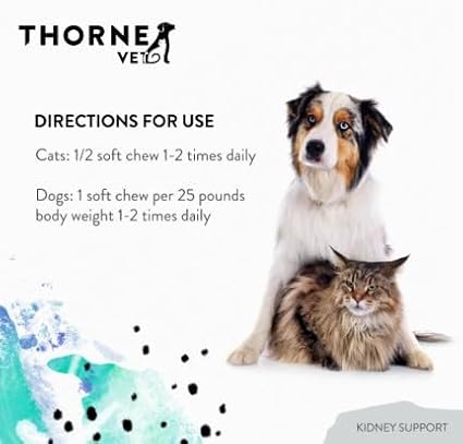 ThorneVet Kidney Support for Dogs & Cats – Chewable Formula for Kidney Health – with Rehmannia, Astragalus, Mushrooms, and Chitosan – 90 Soft Chews