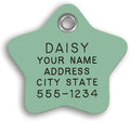 LuckyPet Plastic Pet ID Tags - Dog Personalized IDs - Durable Engraved Name Noiseless Tag - Suitable for Dogs and Cats - Outlasts Most Aluminum Tags - Large, Mint Star