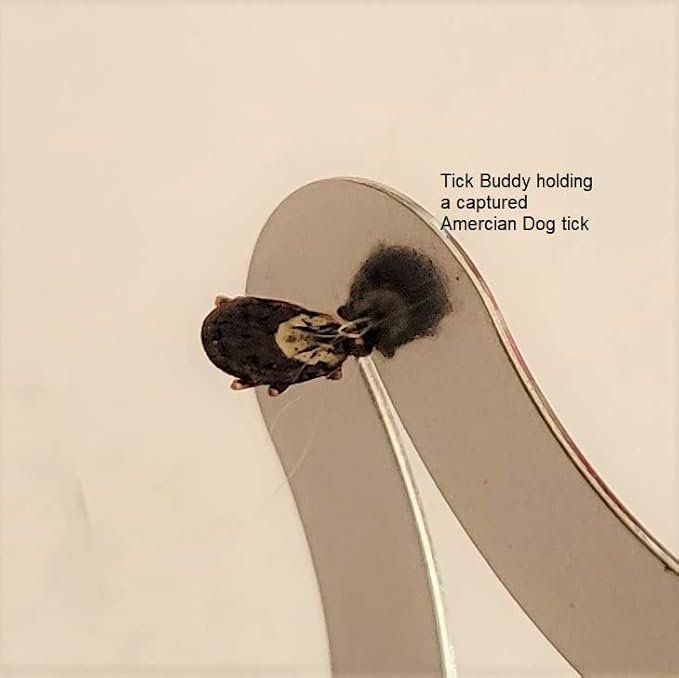 Tick Buddy (Three Pack) Stainless Steel Tick Removal Tool for Dogs Cats Pets and People
