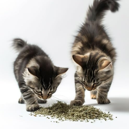 munchiecat Serene Play: Catnip & Valerian Root Fusion - Dual Sensory Delight for Cats (Eco Valerian Mix)