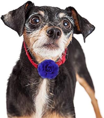 WILLBOND 8 Pieces Dog Flowers Collar Pet Charms Flower 8 cm Cat Pet Bow Tie for Puppy Dog Collar Grooming Accessories (Assorted Color)