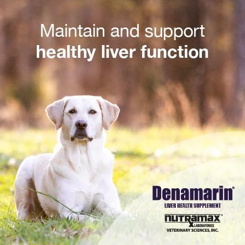 Nutramax Denamarin for Dogs, Liver Health Supplement with S-adenosylmethionine (SAMe) plus Silybin, Liver Support for Dogs, Chewable Tablets, 30 Count