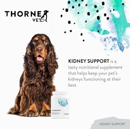 ThorneVet Kidney Support for Dogs & Cats – Chewable Formula for Kidney Health – with Rehmannia, Astragalus, Mushrooms, and Chitosan – 90 Soft Chews