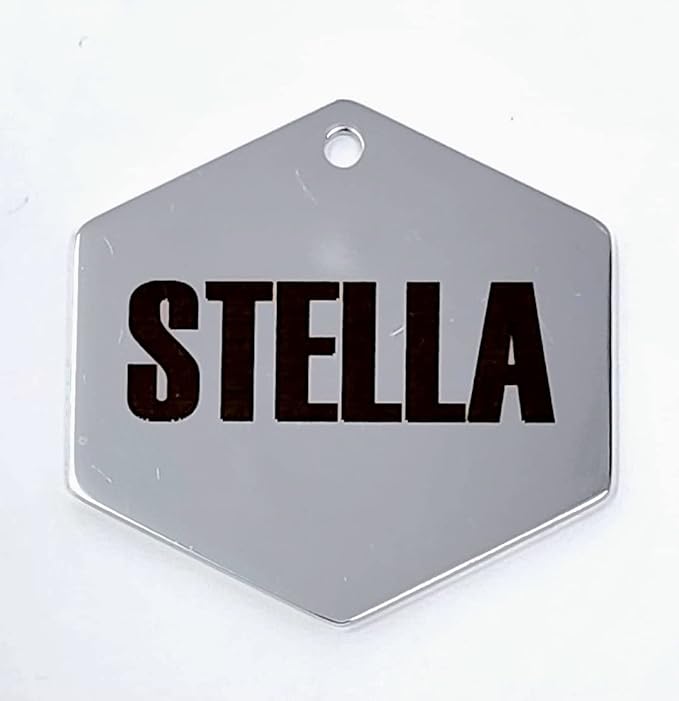 Dr. Fremont's Stainless Steel ID Dog Tags Engraved for Pets Personalized for Cat or Dog Collar Bold Font for Safety (Large, Hexagon)