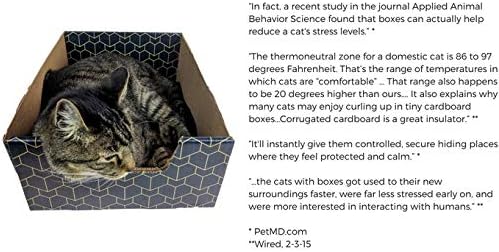 Purrfect Cat Box Modern Cat Box Lounger with Peek-a-Boo Cutout | Premium Corrugated Cardboard Cat Bed for Sleeping and Relaxation | Interactive Board Box for Indoor Kittens and Small Pets, Blue