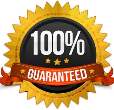 Dog Immune System - Dog Ultra Vitamins - Veterinarian Recommended - Immune Support - Hair Skin Eyes and Bones Support - Dog Vitamins and Supplements - 1 Bottle (90 Treats)