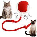 360°Interactive Rolling Cat Ball - Automatic Chew Toy for Active Cats & Small Dogs, Smart Fast Rolling Pet Toy