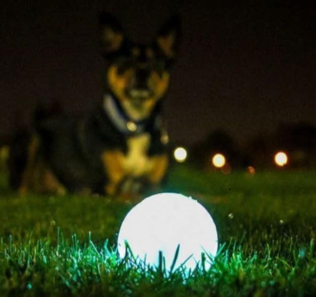 Chuckit! Glow in the Dark Bouncy Balls - Ball for Dogs, Chuckit Dog Toy, Max Glow Balls - Extra-Large, 3.5 Inch, Pack of 1