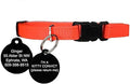 GoTags Kitty Convict Personalized Cat ID Collars (Orange Cat Collar w/Custom Pet ID Tag)