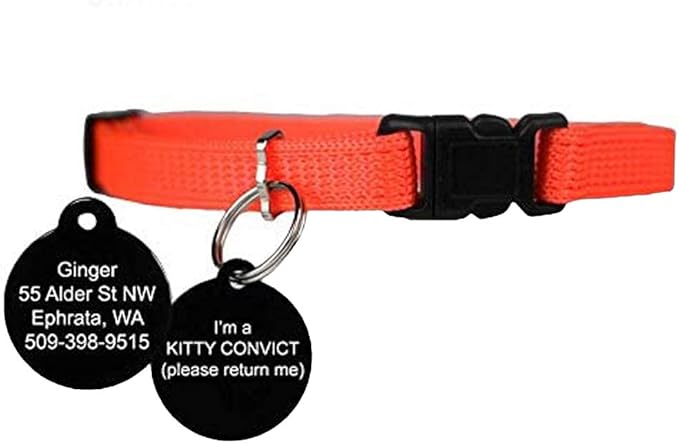 GoTags Kitty Convict Personalized Cat ID Collars (Orange Cat Collar w/Custom Pet ID Tag)
