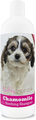 Healthy Breeds Cavachon Chamomile Soothing Dog Shampoo 8 oz