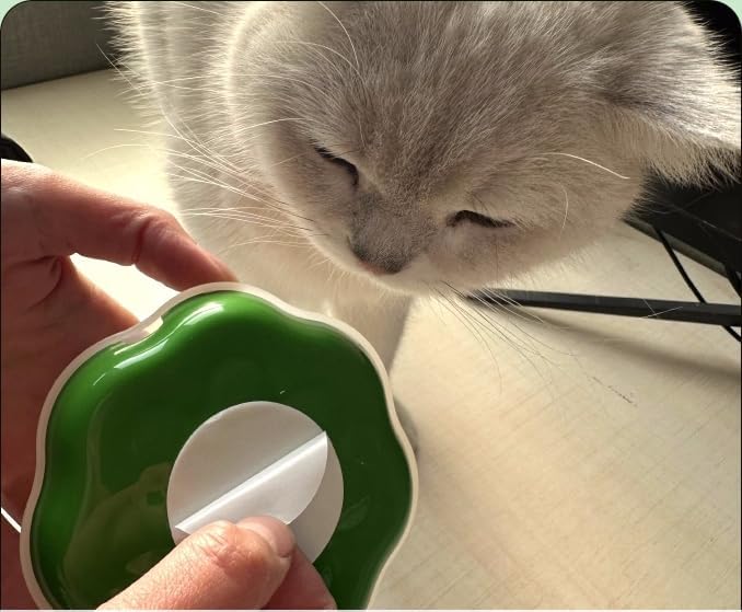 Interactive Cat Catnip Toy Cats Sugar Treat Lick Ball Sticky Wall Enrichment Balls for Cats Healthy