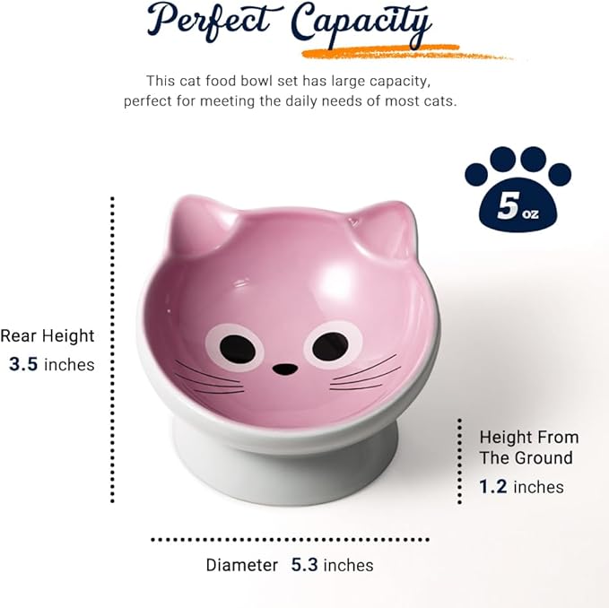 Raised Cat Food Bowl Ceramic 15° Tilted Cat Food Bowls Protect Cat's Spine Anti Vomiting Backflow Prevention for Adult, Kitten, and Small Dogs (Pink)