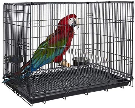 Durable Easy Portable Collapsible Metal Travel or Veterinary Collapsable Parrot Bird Carrier Bite-Proof Easy Clean Carrier Cage with Stainless Steel Feeder Bowls Natural Wooden Perch
