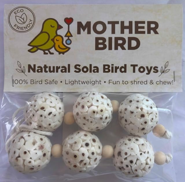 Shred and Destroy Bird Toy for Small Birds - Budgies, Lovebirds - Natural Sola Ball Hanging Chew Toy - 2 Pack - Boredom Buster Cage Toy
