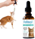 L-Lysine Concentrate for Cats – 2 oz Immune & Respiratory Support Supplement with DMG & Taurine – Helps Relieve Sneezing, Runny Nose, Congestion, Watery Eyes, FHV-1 Symptoms – Made in USA