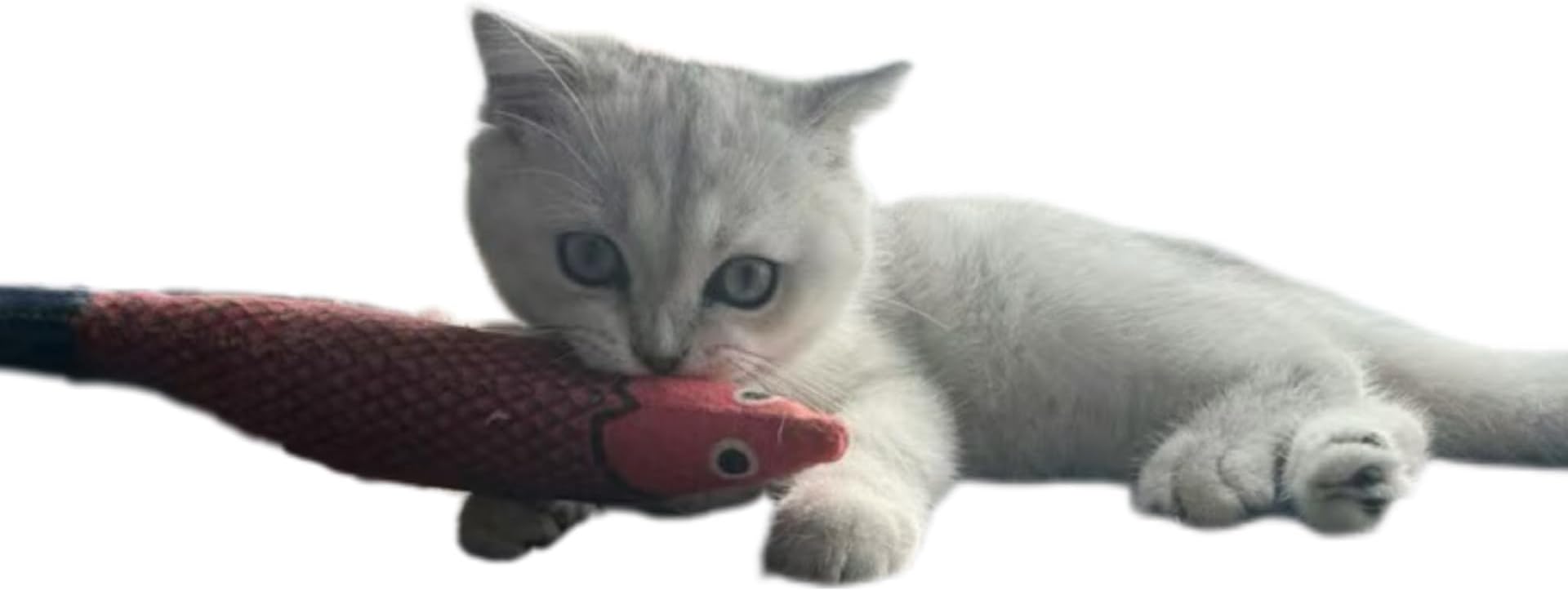 Cat Toys Saury Fish, 3 Pack, Catnip Crinkle Sound, Soft and Durable, Interactive Kitten Kicker for Indoor Kitty Exercise 9.4 Inches for All Breeds