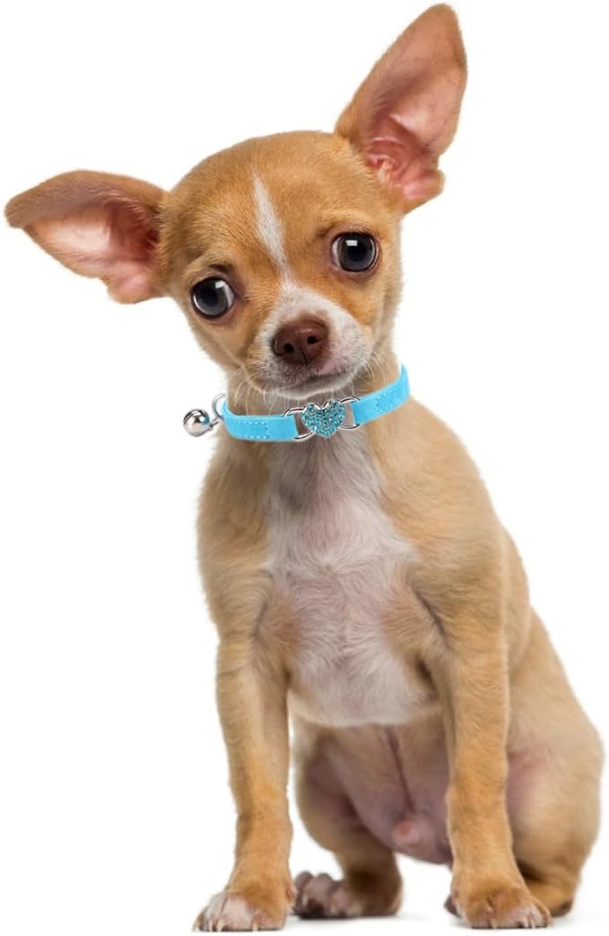 Small Dog Collars with Bell, Bling Rhinestone Heart Soft Velvet Cat Collars with Bells for Xs Tiny Dogs Girls Pet Kitten, Blue
