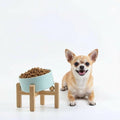 Petygooing Raised/Elevated 15°Slanted Ceramic Dog Bowl for Small Breeds,Tilted Anti Slip Pet Bowl,Food Water Dish with Stand for Cats and Small Dogs Puppy 13.5 OZ (5.1In / 1.7 Cups) Blue Sky