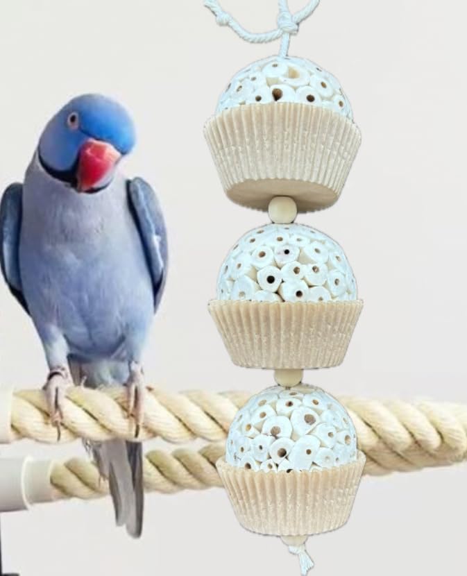 Shred and Destroy Bird Toy for Medium Birds - Conures, Cockatiels - Natural Sola Ball Hanging Chew Toy - 2 Pack - Boredom Buster Cage Toy