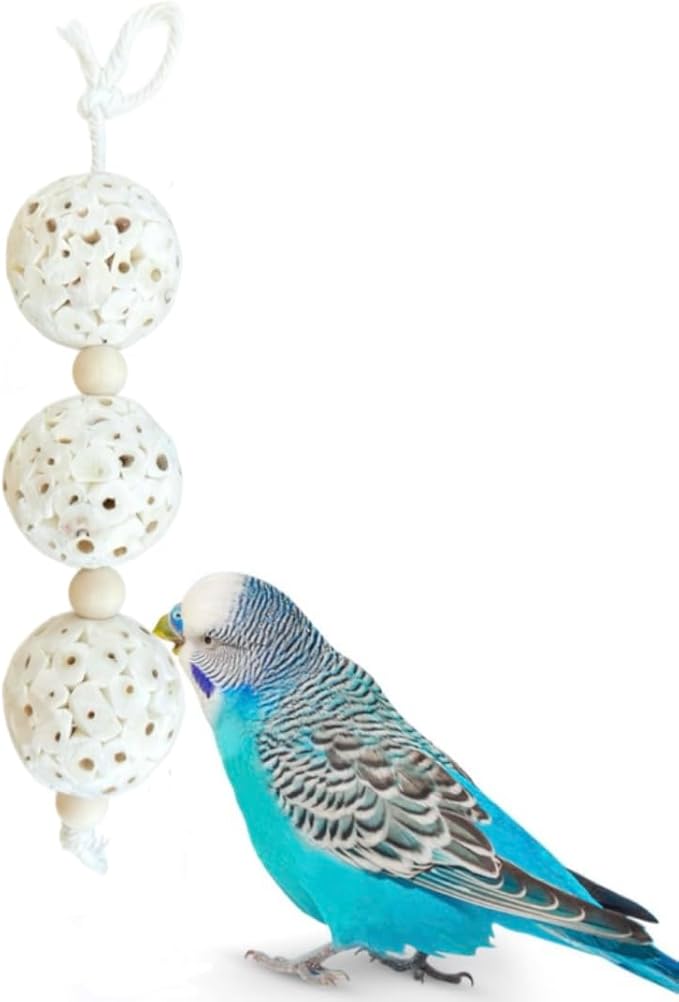 Shred and Destroy Bird Toy for Small Birds - Budgies, Lovebirds - Natural Sola Ball Hanging Chew Toy - 2 Pack - Boredom Buster Cage Toy