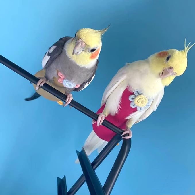 Bird Diaper Harness Flight Suit Clothes with Flying Leash for Parrots Cockatiel Pet Birds, Parrot Clothes, Bird Training Nappy Suit Liners Clothes (Medium,Yellow)