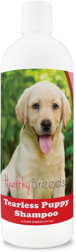 Healthy Breeds Labrador Retriever Tearless Puppy Dog Shampoo 16 oz