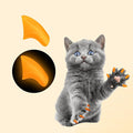 6 Month Supply Soft Nail Caps for Cats Orange Glow in The Dark - Extra Adhesives (Medium)
