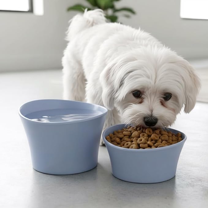Elevated Cat Bowls for Water – Raised Bowl for Indoor Cats – Whisker Fatigue Shallow Cat Dishes – Vet-Recommended Height, Modern Pedestal Design – Non-Slip & Dishwasher-Safe – 8 oz, Powder Blue