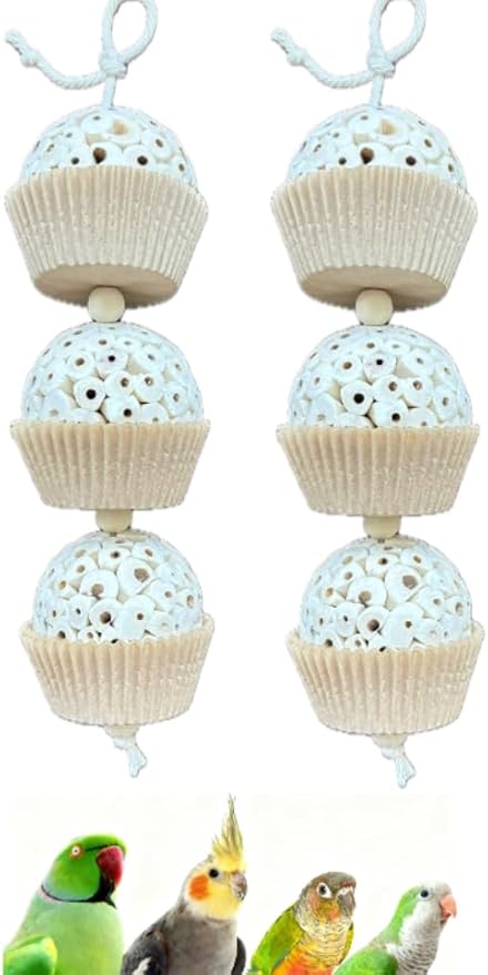 Shred and Destroy Bird Toy for Medium Birds - Conures, Cockatiels - Natural Sola Ball Hanging Chew Toy - 2 Pack - Boredom Buster Cage Toy