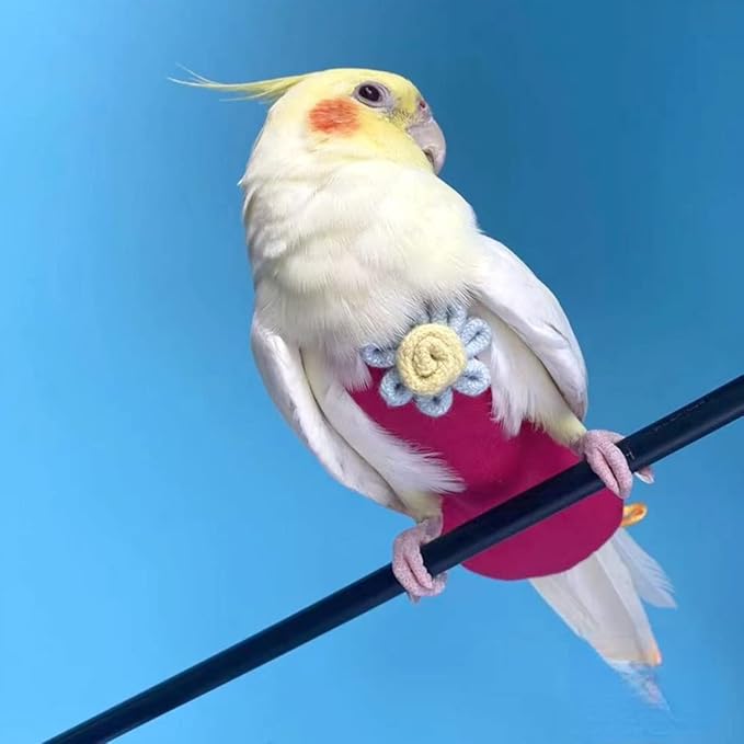 Bird Diaper Harness Flight Suit Clothes with Flying Leash for Parrots Cockatiel Pet Birds, Parrot Clothes, Bird Training Nappy Suit Liners Clothes (Medium,Rose Red)