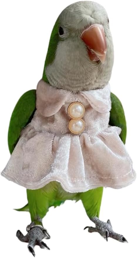 Bird Costume Bird Diaper Flight Suit Parrot Velvet Fleece Skirt Clothes Cosplay Photo Prop for Conure Lovebird Parakeet Cockatiel Macaw Small Animals Apparel (White,X-Large)