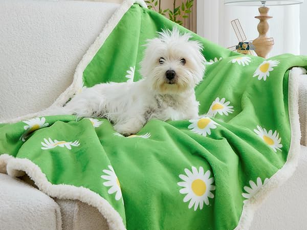 Qeils Pet Blankets for Cats - Waterproof Cat Blanket Washable - Sherpa Fleece Puppy Blanket, Soft Plush Reversible Throw Protector for Bed Couch Car Sofa, 50"X60", Daisy Flower
