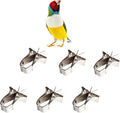 6 Pcs Bird Food Holder Parrot Cage Seed Feeder Stainless Steel Vegetable Fruit Clip for Bird Cockatiel Parrot Hamster