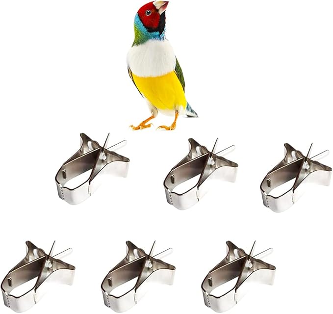 6 Pcs Bird Food Holder Parrot Cage Seed Feeder Stainless Steel Vegetable Fruit Clip for Bird Cockatiel Parrot Hamster