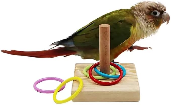 Parrot Intelligence Training Toy, Colorful Stackable Rings Interactive Bird Toy for Most Pet Birds