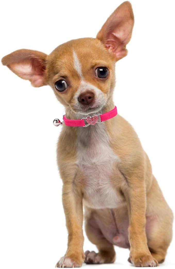 XXS Dog Collar with Bell, Bling Rhinestone Heart Soft Velvet Kitten Collars with Bells for Xs Tiny Dogs Girls Pet Cats, Hot Pink