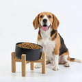 Petygooing Black Elevated/Raised 15°Slanted Ceramic Dog Bowl for Small and Medium Breeds, Tilted Anti Slip Pet Feeding Bowl,Food Water Dish with Stand for Cats and Dogs (28 OZ/3.6 Cups)