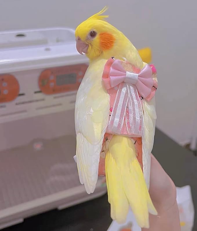 Bird Flight Suits Diapers, Parrot Diapers for Monk Parakeets, Cockatiels, Parrot Clothes Costume, Bird Training Nappy Suit Liners Clothes (Large,Light Pink)