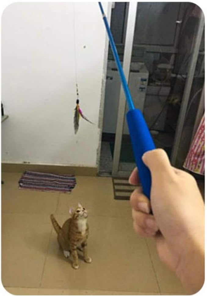 Retractable Cat Wand - Interactive 3-Section Teaser Toy, Fishing Pole Exerciser for Cats and Kittens (Replacement Not Included)