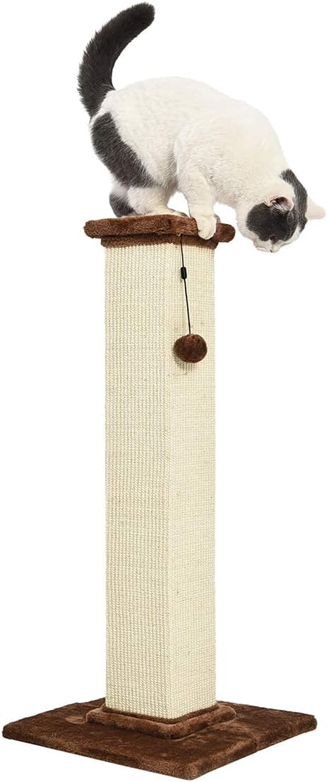 Amazon Basics Cat Scratcher - Indoor Classic Single Cat & Kittens Scratching Post with Sisal Rope,Large (35.4"H) - Brown