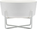 Waggo Simple Solid Dog Bowl and Stand - Single Iron Stand with Single Ceramic Feeder or Water Bowl, Elevated Pet Feeder (Small, Matte White)