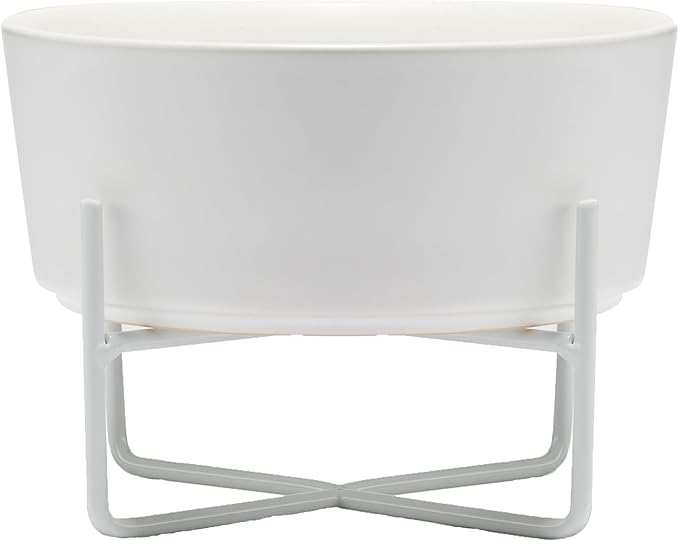Waggo Simple Solid Dog Bowl and Stand - Single Iron Stand with Single Ceramic Feeder or Water Bowl, Elevated Pet Feeder (Small, Matte White)