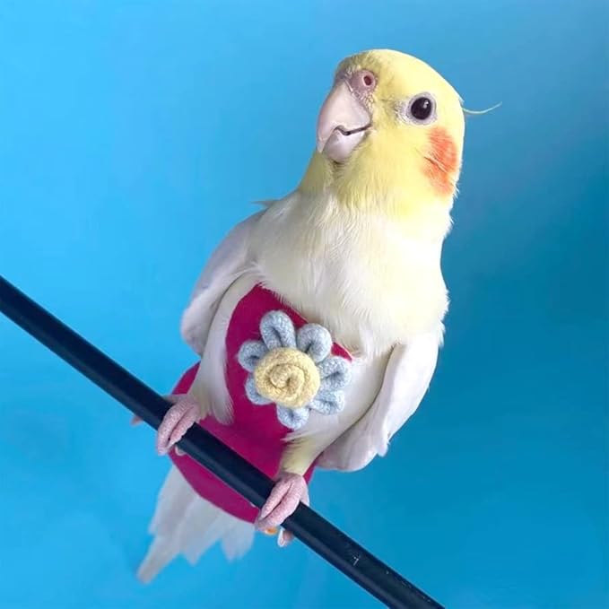 Bird Diaper Harness Flight Suit Clothes with Flying Leash for Parrots Cockatiel Pet Birds, Parrot Clothes, Bird Training Nappy Suit Liners Clothes (Medium,Rose Red)